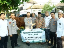 Polres Gresik Salurkan 100 ekor Hewan Kurban di Hari Raya Idul Adha