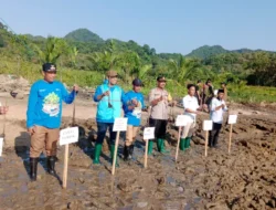 Peduli Lingkungan, Polsek Tambak Turut Tanam Ribuan Bibit Mangrove di Pulau Bawean Gresik