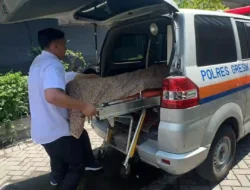 Pelayanan Humanis, Ambulans Polres Gresik Antar Jenazah Warga hingga Tempat Peristirahatan Terakhir