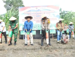 Polres Gresik Bersama Forkopimda Tanam Jagung 1,2 Hektare di Kebomas, Dukung Swasembada Pangan Nasional