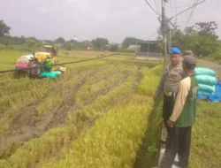 Polres Gresik Perkuat Ketahanan Pangan Melalui Pendampingan Petani di Wilayah Balongpanggang