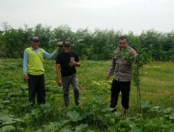 Polsek Dukun Aktif Dampingi Petani, Monitoring Tanaman Labu untuk Dukung Ketahanan Pangan Nasional