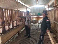 Polsek Manyar Dukung Ketahanan Pangan, Cek Perkembangan Peternakan Kambing di Peganden