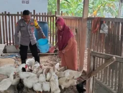 Polsek Benjeng Laksanakan Pemantauan Peternakan Bebek untuk Dukung Program Ketahanan Pangan Nasional