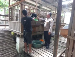 Pengecekan Peternakan Kambing di Desa Banjarsari, Wujud Dukungan Polsek Cerme terhadap Program Ketahanan Pangan