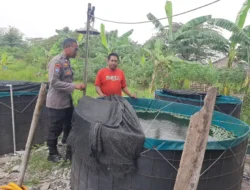 Budidaya Lele di Desa Sekarkurung Dipantau Polsek Kebomas untuk Dukung Ketahanan Pangan