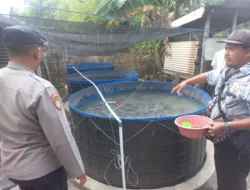 Polsek Cerme Cek Kolam Budidaya Lele di Desa Dungus Dukung Program Presiden RI Wujudkan Swasembada Pangan