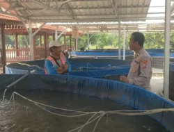 Dukung Swasembada Pangan Presiden RI, Polsek Sidayu Cek Budidaya Lele di Desa Lasem