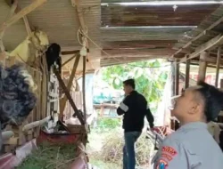 Polsek Benjeng Lakukan Monitoring Peternakan Kambing sebagai Wujud Dukungan Ketahanan Pangan Nasional