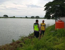 Polsek Duduksampeyan Laksanakan Pengecekan Pemeliharaan Ikan, Dukung Program Swasembada Pangan Nasional