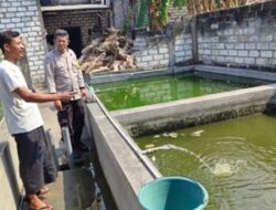 Dukung Ketahanan Pangan Nasional, Polsek Bungah Cek Budidaya Ikan Lele di Desa Indrodelik