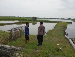 Polsek Duduksampeyan Laksanakan Monitoring Tambak Ikan di Wadak Kidul untuk Dukung Ketahanan Pangan