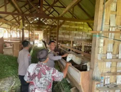 Polsek Manyar Cek Peternakan Kambing di Desa Peganden, Dukung Program Ketahanan Pangan