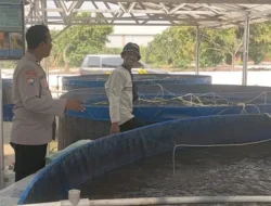 Polres Gresik Dorong Ketahanan Pangan Melalui Pengecekan Budidaya Ikan Lele