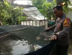Polres Gresik Cek Budidaya Ikan Lele Dukung Ketahanan Pangan di Desa Petiken