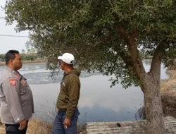 Polsek Duduksampeyan Laksanakan Pengecekan Pemeliharaan Tambak Ikan untuk Dukung Ketahanan Pangan