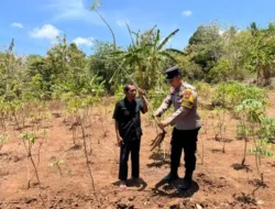 Polsek Tambak Laksanakan Pengecekan Tanaman Ubi Kayu di Desa Tanjungori untuk Dukung Ketahanan Pangan
